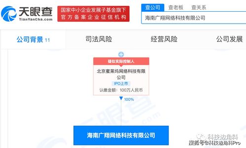 映客全資收購海南廣翔網絡，深化數字文化創意內容布局